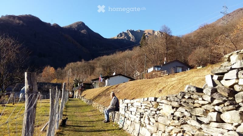stone wall, man sitting, dog, mountain, trees, houses