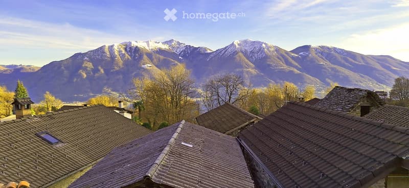 Houses with brown roofs, mountains in the background, trees, clear sky