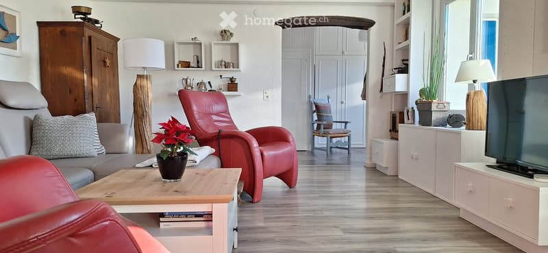Living room with wooden floor, red leather chairs, wooden coffee table, TV, wooden cabinet, white shelves, wooden lamp, and potted plants.