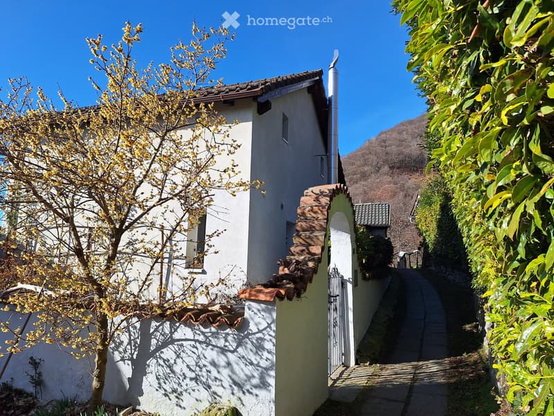 white house, brown roof, small window, brick wall, metal gate, tree, pathway