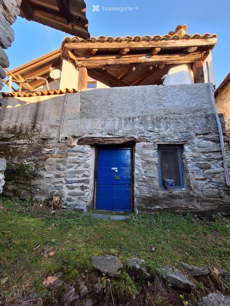 Stone house with a blue door, wooden roof, small window with a blue pot, moss and grass on the ground