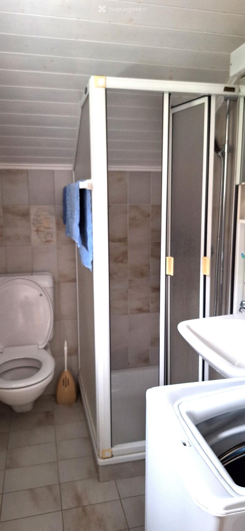 Bathroom with toilet, shower, washing machine, and towel hanging on the wall.