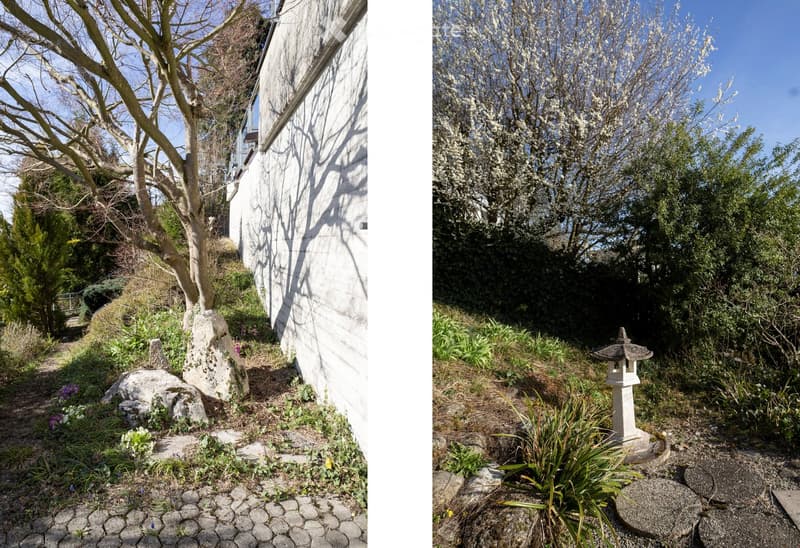 Garden with a tree, a stone lantern, and a stone path