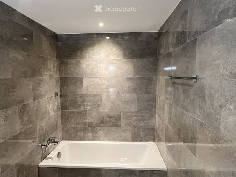 Attraktive Neu-Wohnung in Zürich (6)