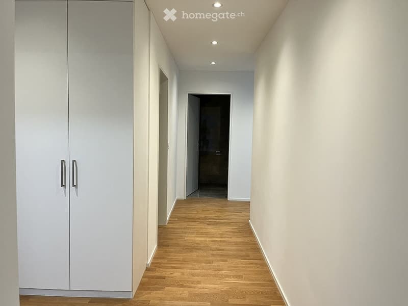 Attraktive Neu-Wohnung in Zürich (5)
