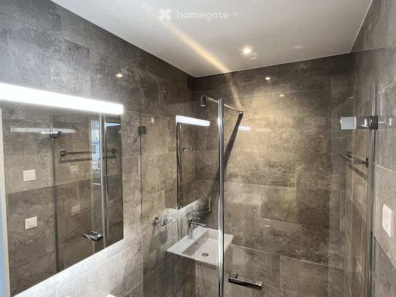 Attraktive Neu-Wohnung in Zürich (7)