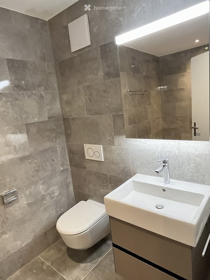 Attraktive Neu-Wohnung in Zürich (3)