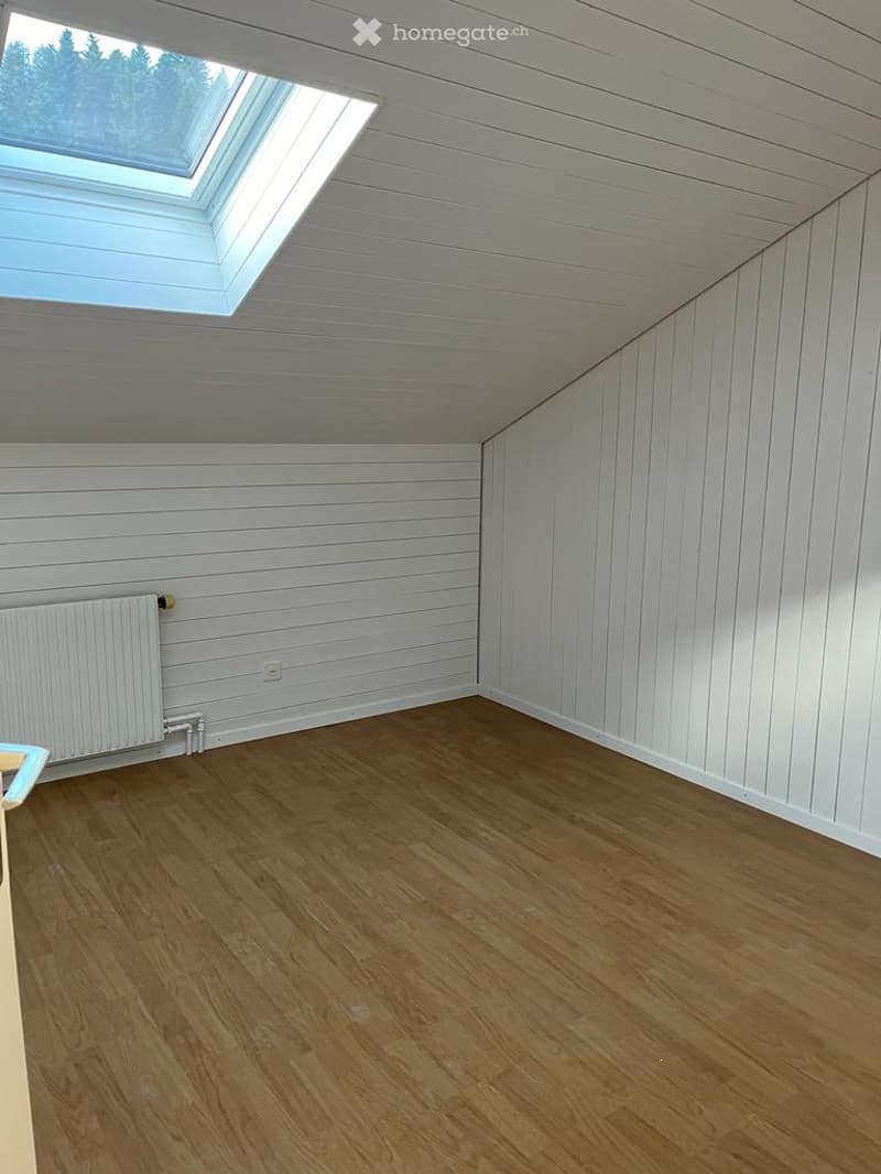 empty room, wooden floor, white walls, white ceiling, skylight, radiator