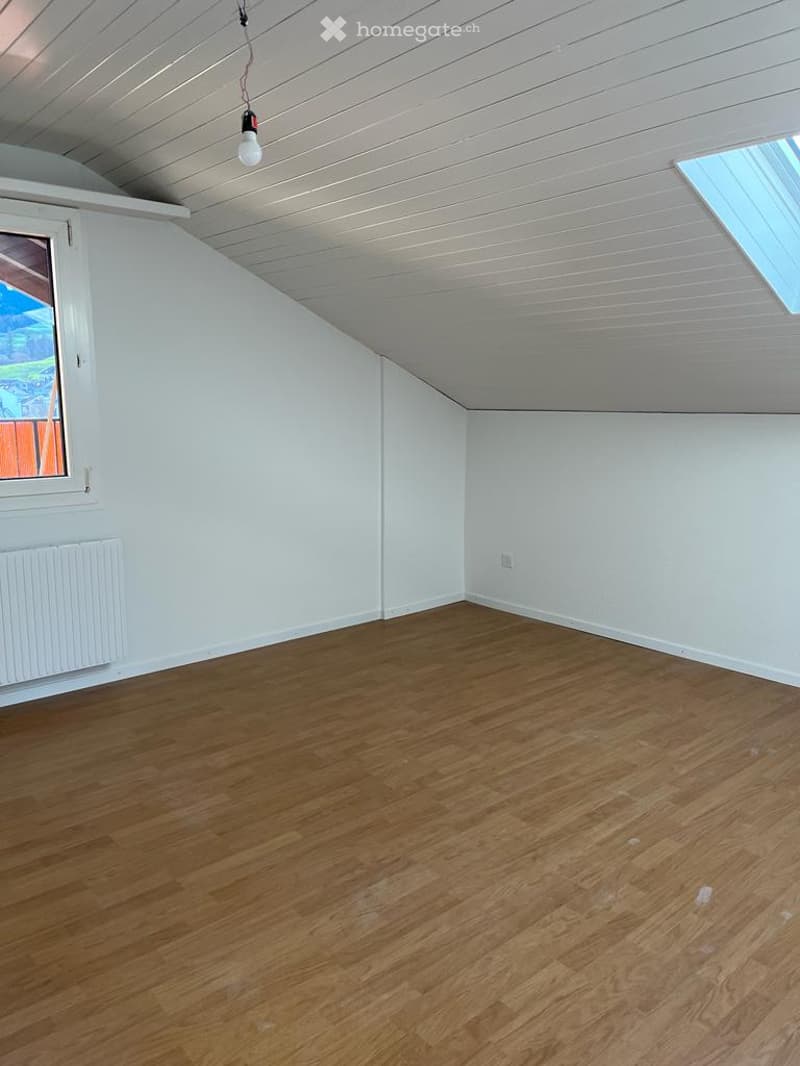 empty room, wooden floor, white walls, window, skylight, radiator