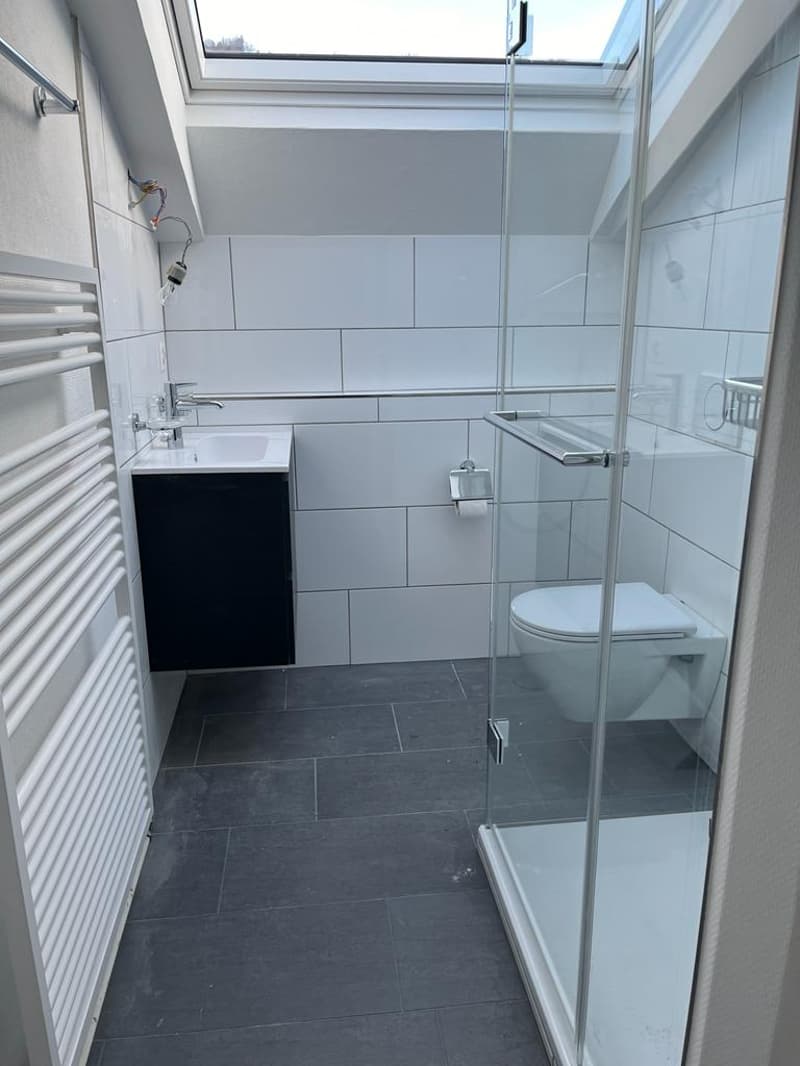 Bathroom with white tiles, glass shower, white sink, black cabinet, white toilet, skylight