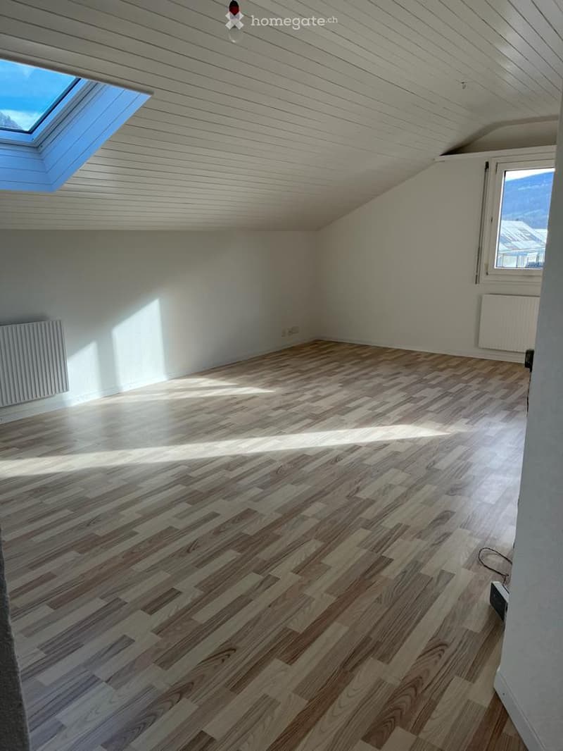 empty room, wooden floor, white walls, ceiling with wooden panels, skylight, window, radiators