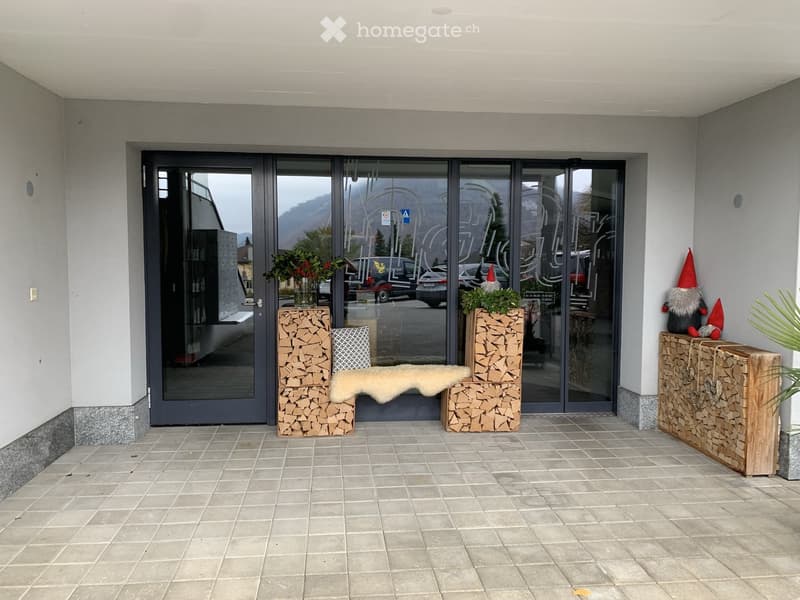 Entrance with wooden logs, plants, and gnomes. Tiled floor, glass doors, and a view of a mountain.