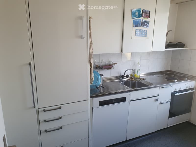 modern kitchen, stainless steel appliances, tiled backsplash, built-in cabinets, dishwasher, washing machine, gas stove