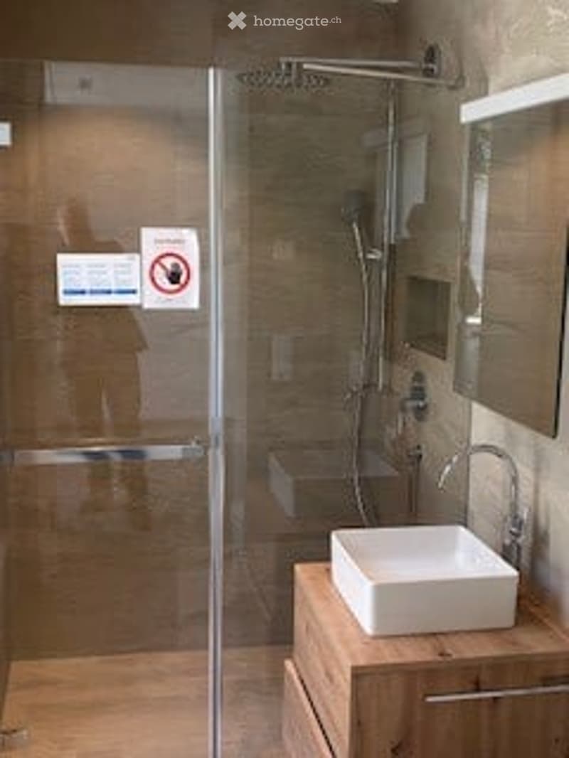 modern bathroom with glass shower enclosure, white sink, wooden cabinet, mirror