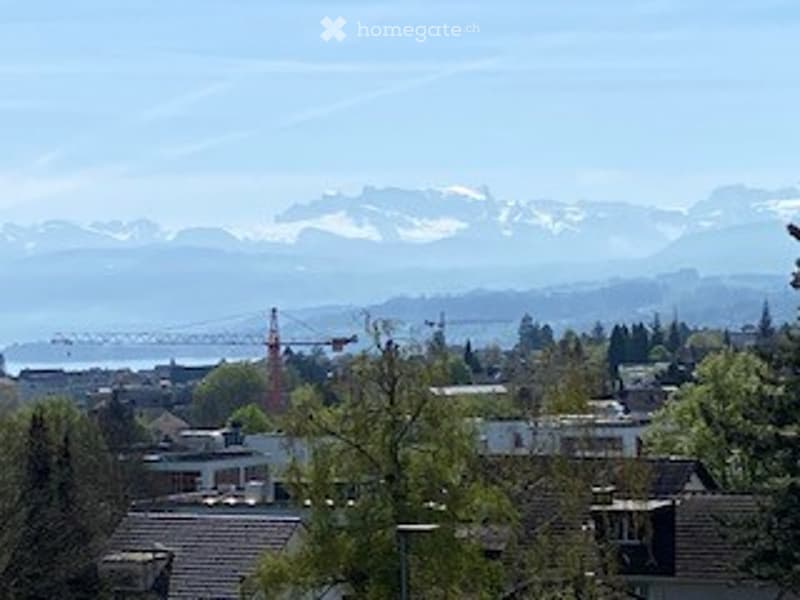 Garden with trees, mountains in the background, city skyline, clear blue sky