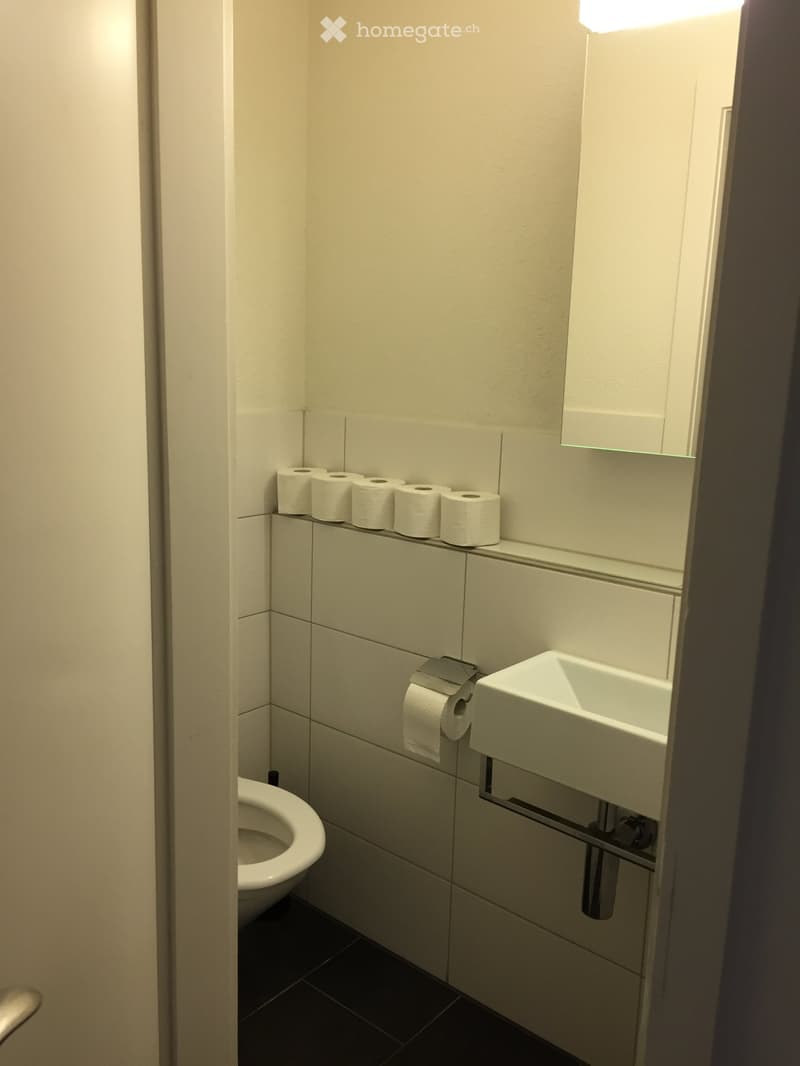 small bathroom with toilet, sink, mirror, and toilet paper