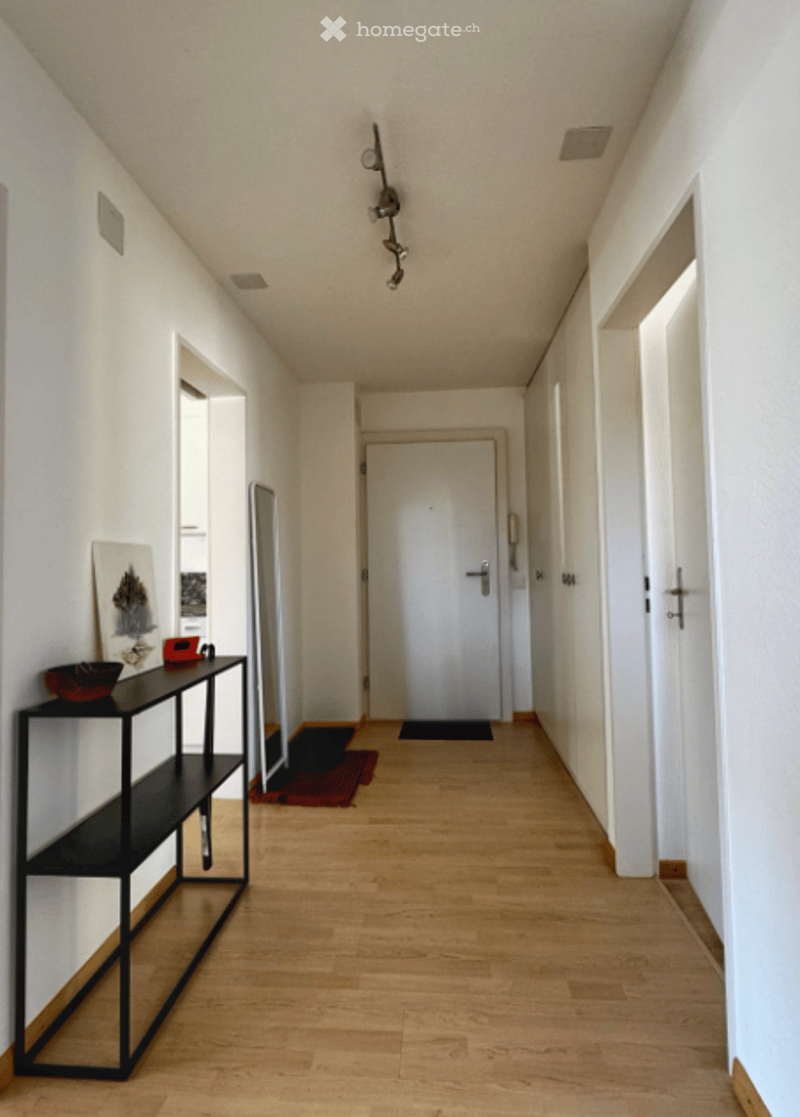 Empty hallway with wooden floor, white walls, a black shelf with a bowl and a picture, a mirror, and two doors.