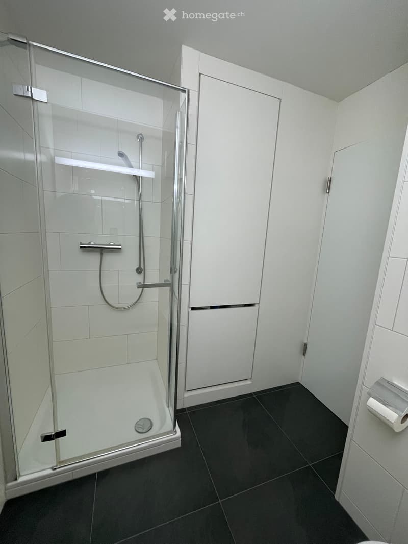 3.5-Zimmer-Wohnung in Flims Waldhaus, Erst- oder Zweitwohnsitz, möbliert oder unmöbliert (6)