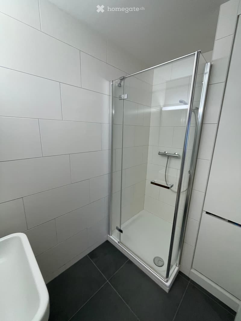 modern bathroom with white tiles, glass shower enclosure, white sink, black floor