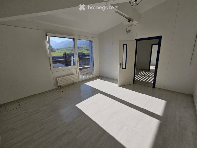 empty room, large windows, balcony, wooden floor, white walls, ceiling lamp