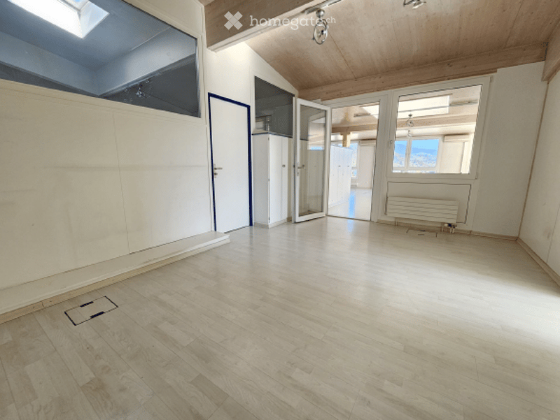 empty room, wooden floor, white walls, glass windows, glass door, skylight