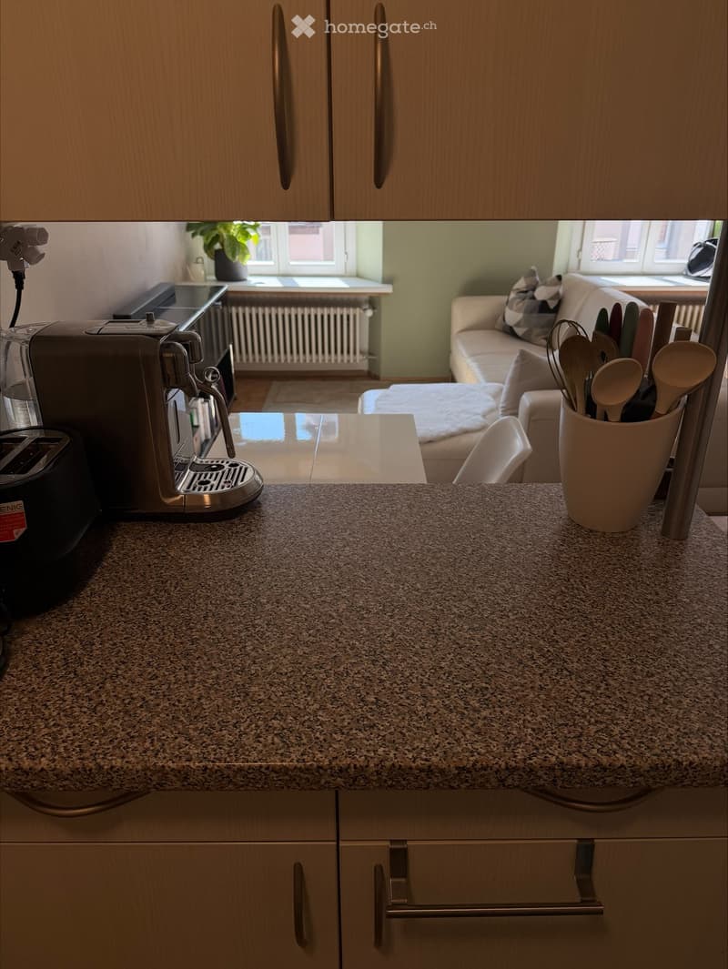 kitchen with granite countertop, coffee machine, toaster, utensils in a cup, cabinets, white couch, white chair, radiator, plant, windows