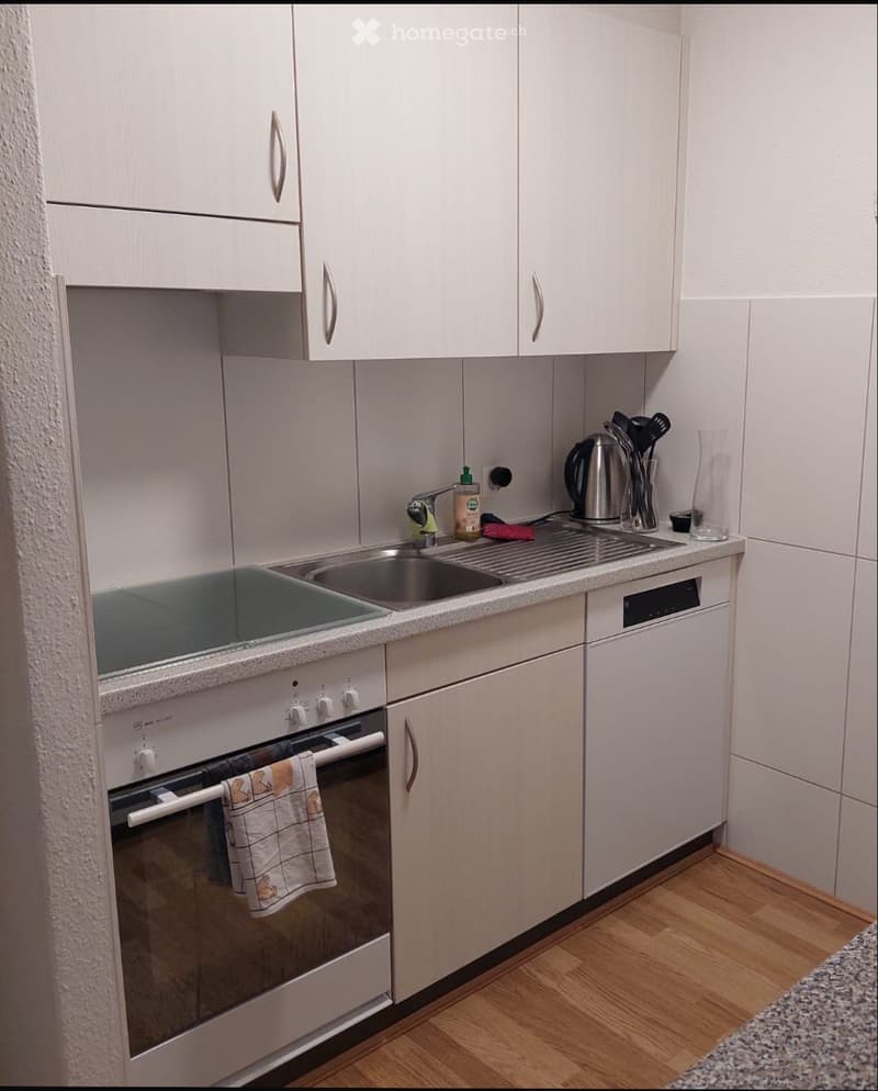 modern kitchen with white cabinets, stainless steel sink, dishwasher, electric stove, wooden floor