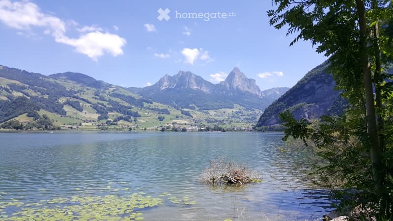 lake, mountains, trees, clear sky