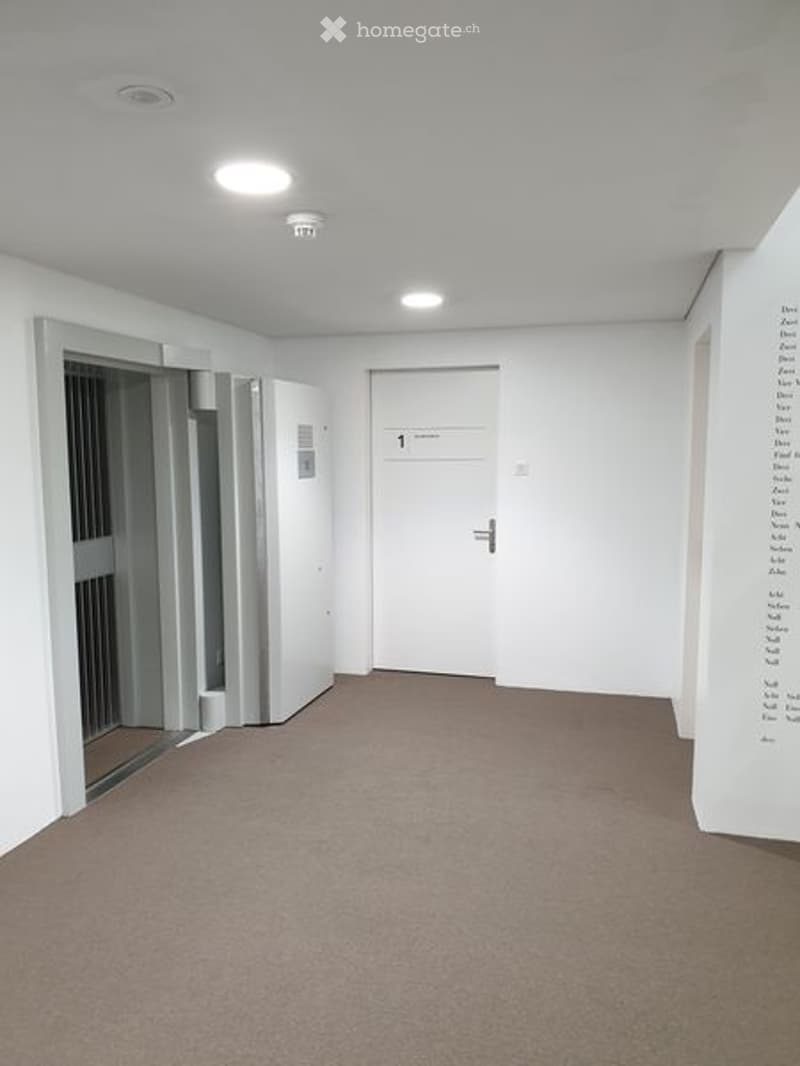 Empty room with white walls, brown carpet, two doors, one of which is an elevator, and a white wall with writing