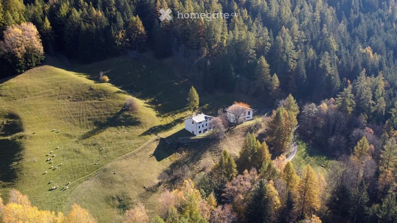 House on a hill, surrounded by trees and grass, white exterior, two-story, small annex