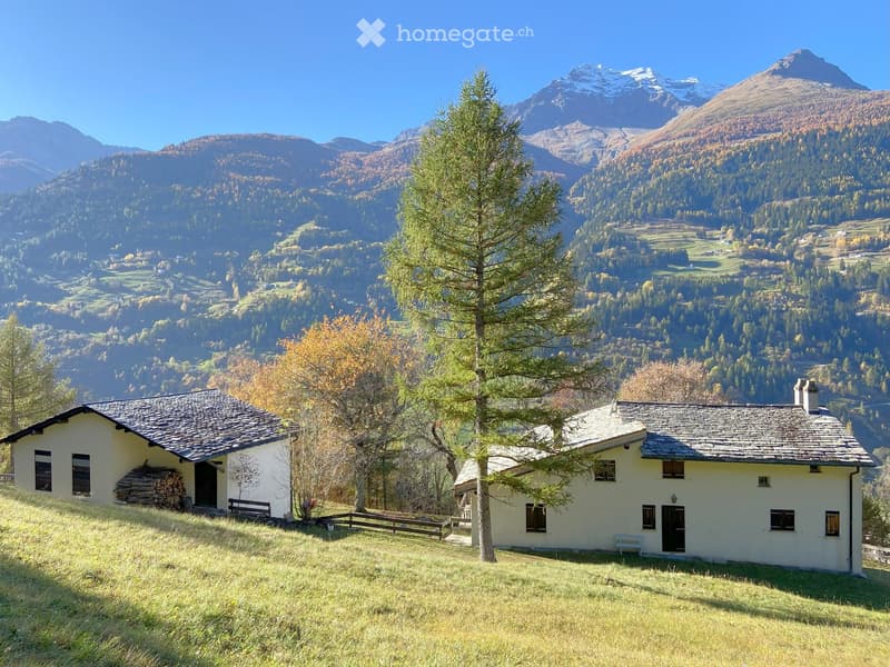 Two white houses with stone roofs, surrounded by trees and grass, with a mountain range in the background
