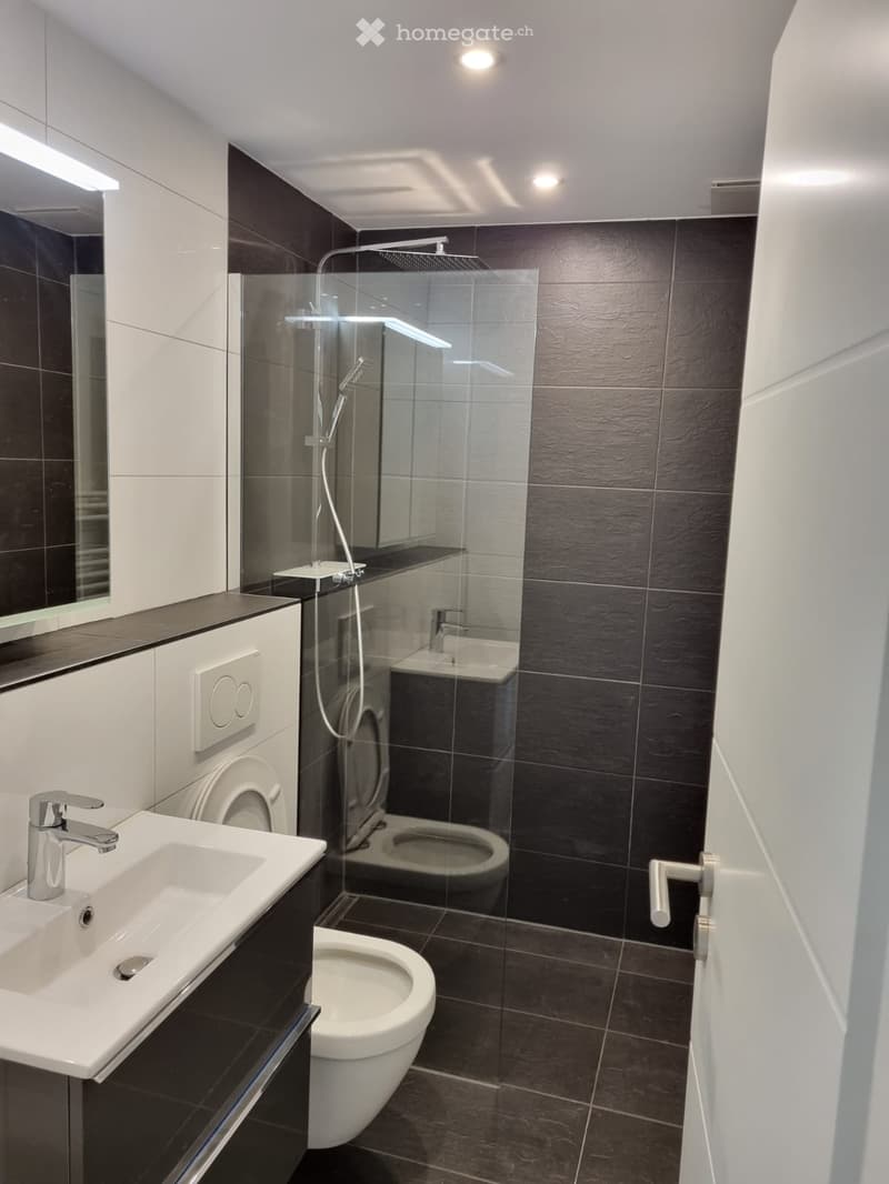 modern bathroom with white sink, white toilet, glass shower enclosure, black tiles, mirror