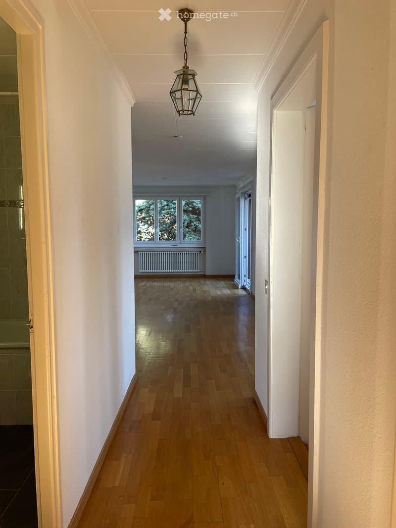 Bright hallway with wooden flooring, white walls, and a hanging lantern-style light fixture. The hallway leads to a room with large windows and a radiator visible in the background.