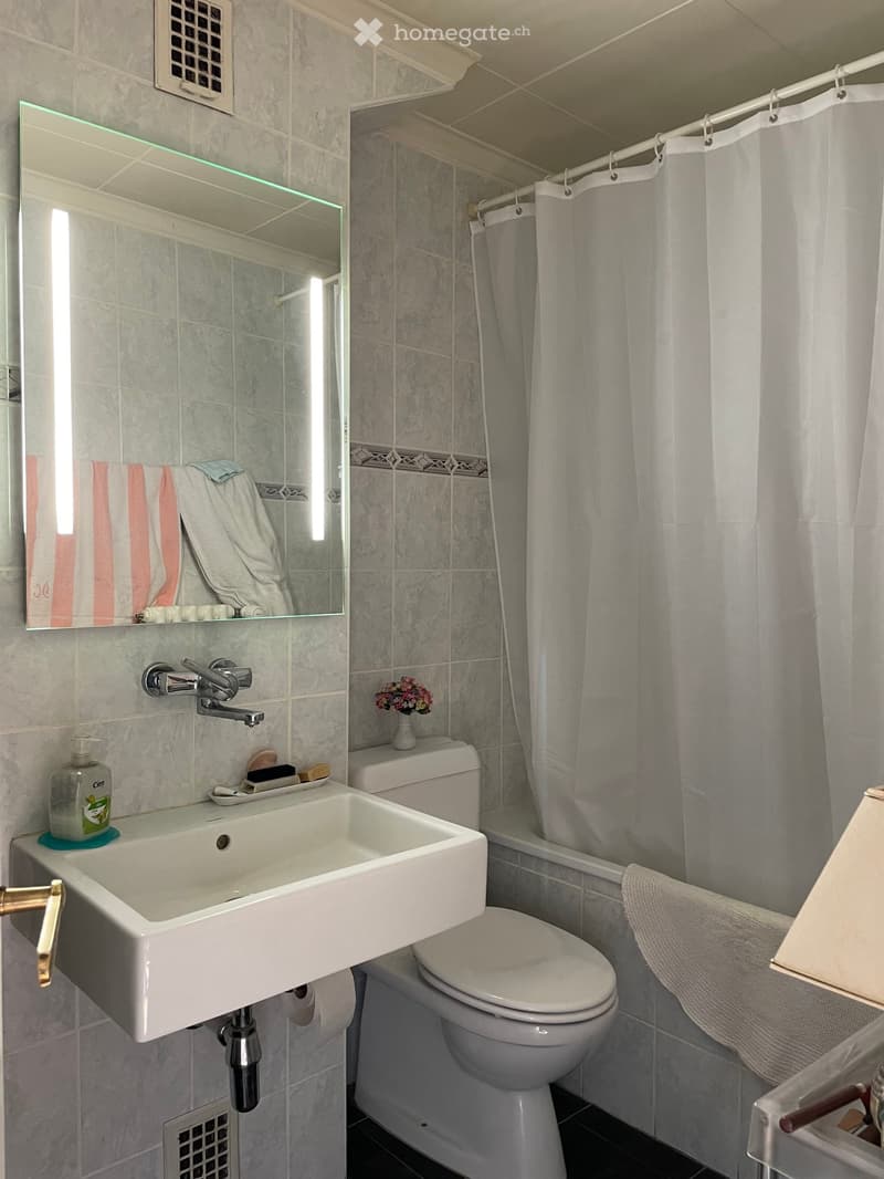 Bathroom with sink, mirror, toilet, bathtub, shower curtain, and towel rack