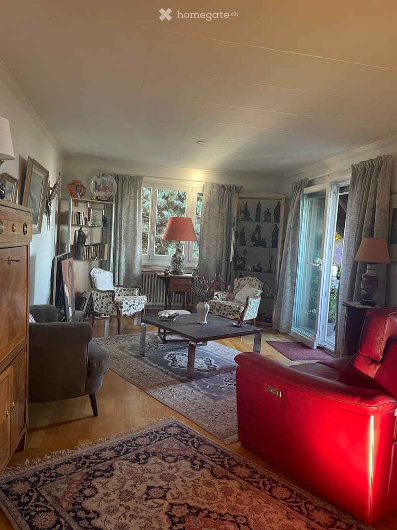 wooden floor, large windows, red leather sofa, coffee table, two armchairs, two rugs, wooden cabinet, shelves, radiator, lamps, flower vase, curtains