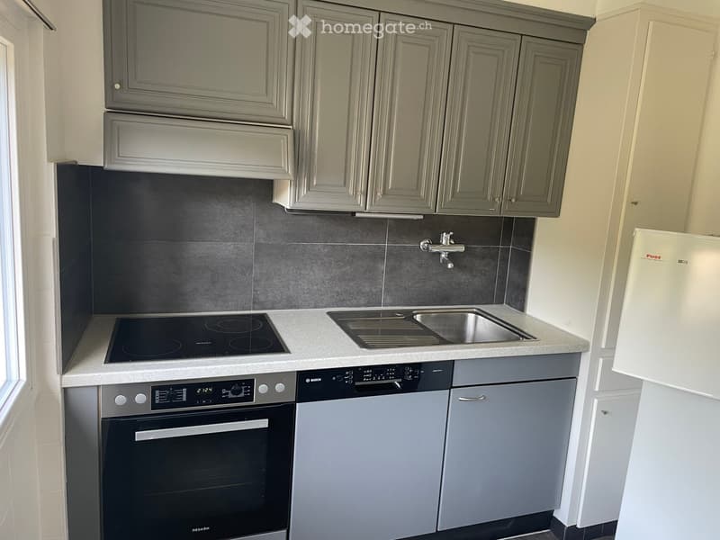 Modern kitchen with grey cabinets, induction cooktop, dishwasher, sink, and faucet.
