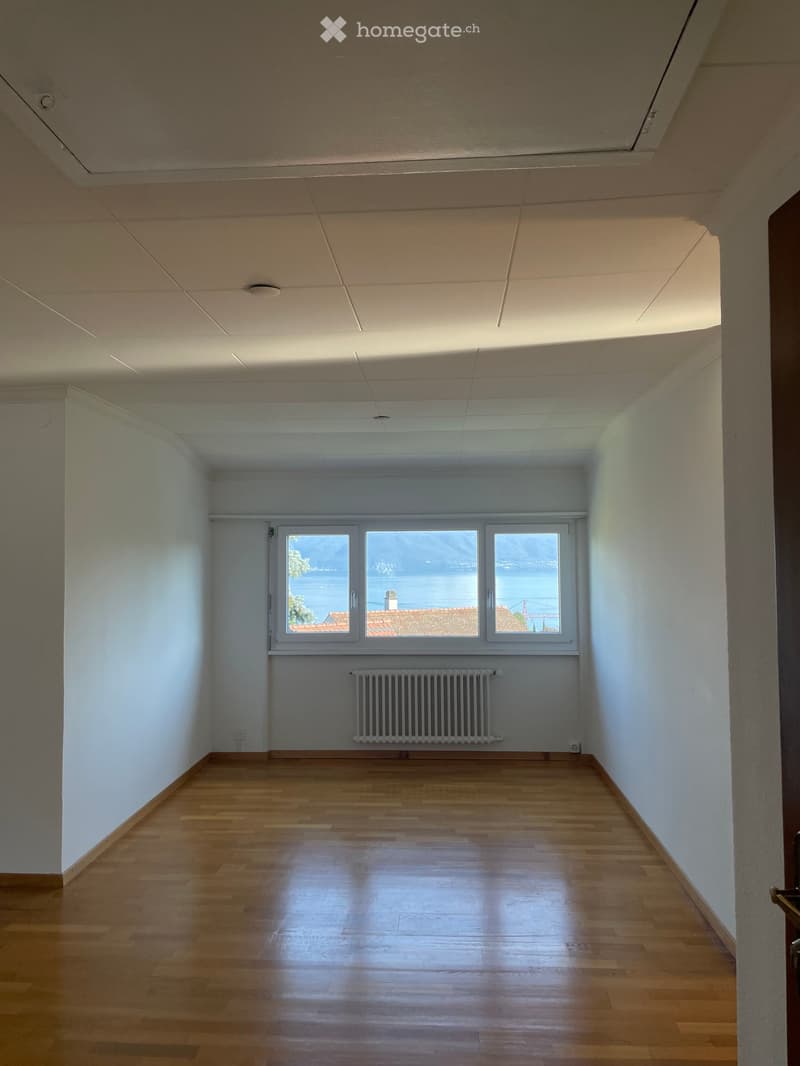 Empty room with wooden flooring, white walls, large window overlooking a lake, and a radiator below the window.