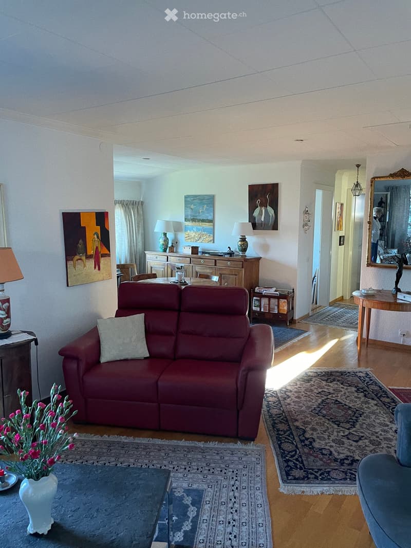 living room with red sofa, wooden table, carpet, paintings, lamps, flower vase, wooden cabinet, mirror