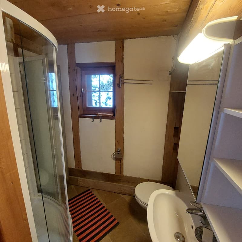 Bathroom with shower, toilet, sink, mirror, wooden floor, window, towel rack, and a rug