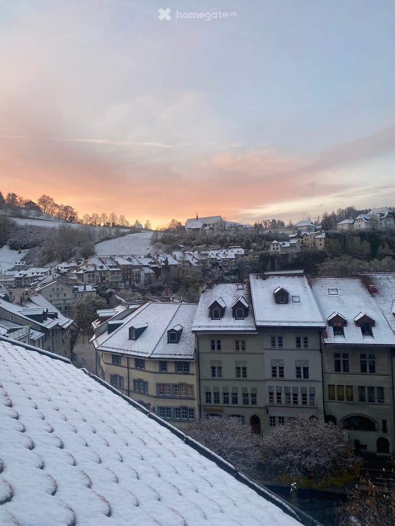 Snowy rooftop view of a town with multiple buildings, trees, and a hill in the background.