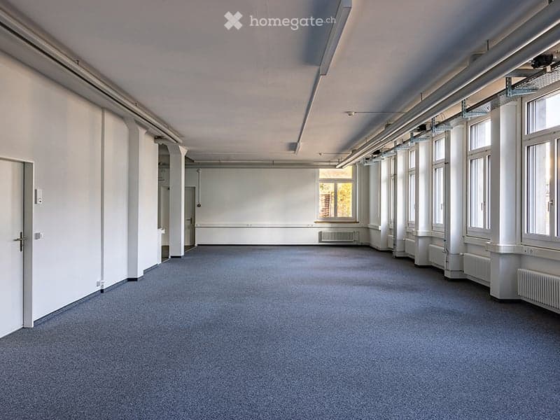 empty room, white walls, blue carpet, windows, radiators