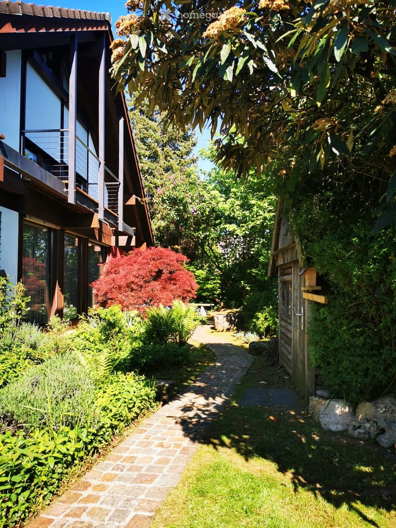 cobblestone path, garden with various plants, small wooden shed, red maple tree, wooden balcony
