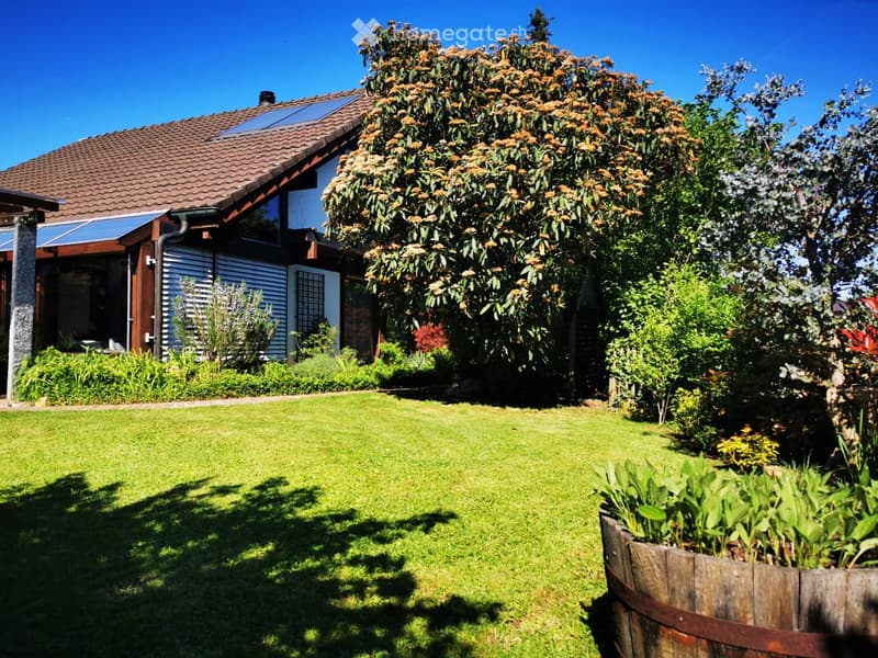 Detached house, brown roof, solar panels, large windows, garden, trees, well-maintained lawn