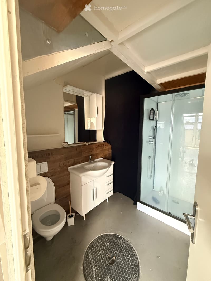 Modern bathroom with a toilet, sink, mirror, and glass-enclosed shower. Features a white vanity cabinet, a dark accent wall, and a hexagonal floor drain.