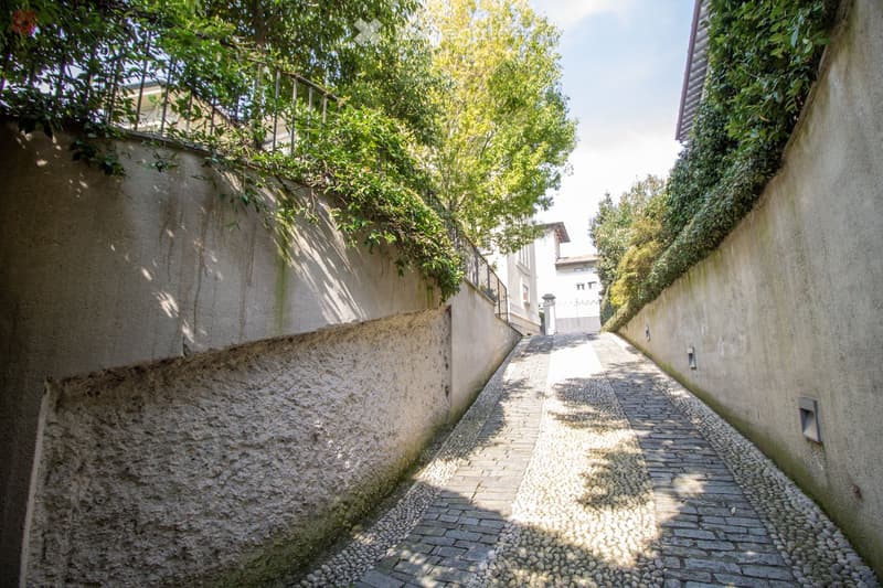 cobblestone path, concrete walls, greenery, trees, shadows
