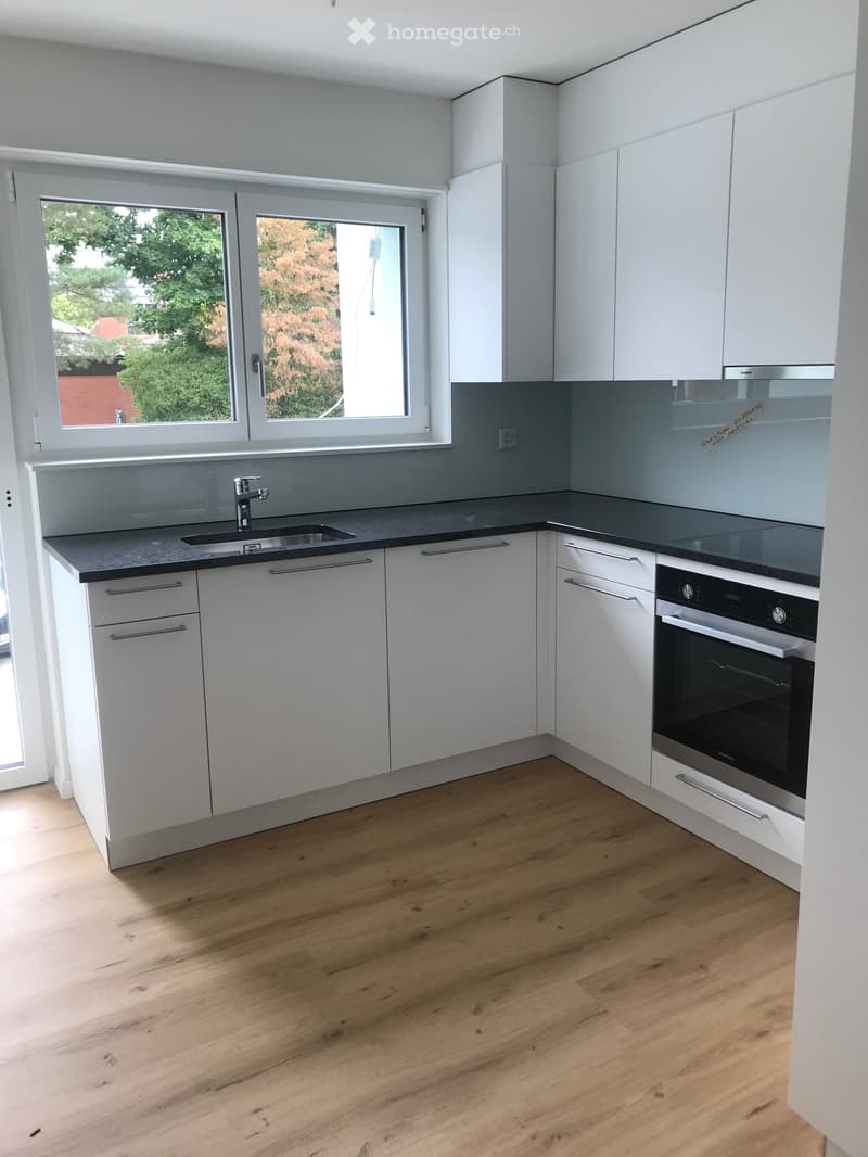 modern kitchen, white cabinets, black countertops, stainless steel sink, oven, wooden floor, large window