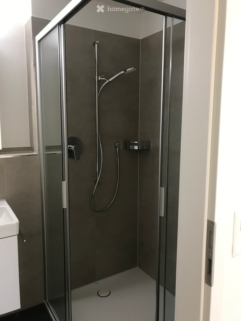 shower stall, glass door, silver shower head, silver faucet, white sink, gray tiles