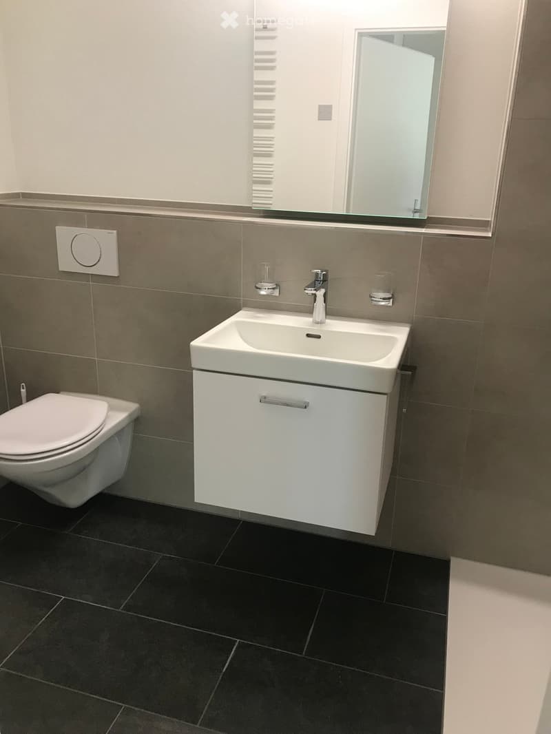 modern bathroom with white sink, mirror, and toilet