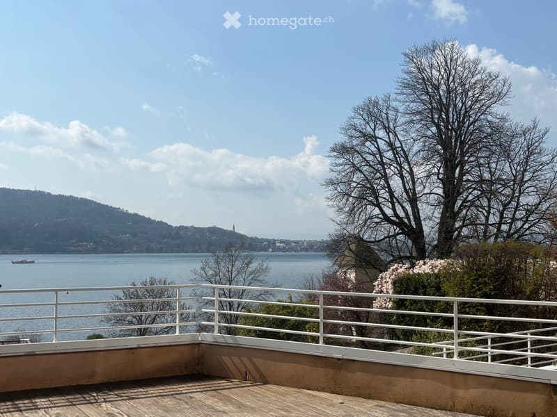 wooden deck, white railing, view of lake and mountains