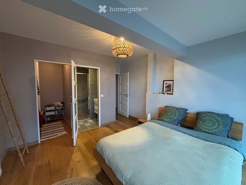 Appartement comprenant une terrasse de 94 m² avec vue sur le Lac d'Annecy (9)